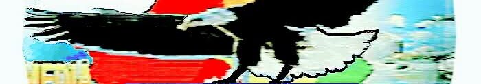 NATINDONEWS.COM