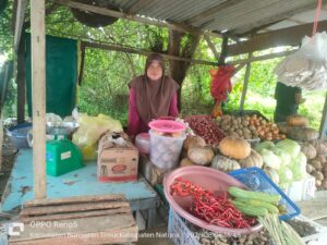 JERIT PEDAGANG PASAR RAKYAT RANAI, Dihantam Sepi Pembeli, Dijanjikan Bantuan UMKM Tanpa Kejelasan 1 JERIT PEDAGANG PASAR RAKYAT RANAI, Dihantam Sepi Pembeli, Dijanjikan Bantuan UMKM Tanpa Kejelasan